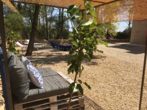 Petra Country House: il luogo perfetto per un digital detox tra natura e silenzio