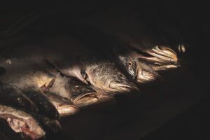 De ce sea bass-ul australian este alegerea ideală pentru o masă festivă cu gust exotic și rafinat